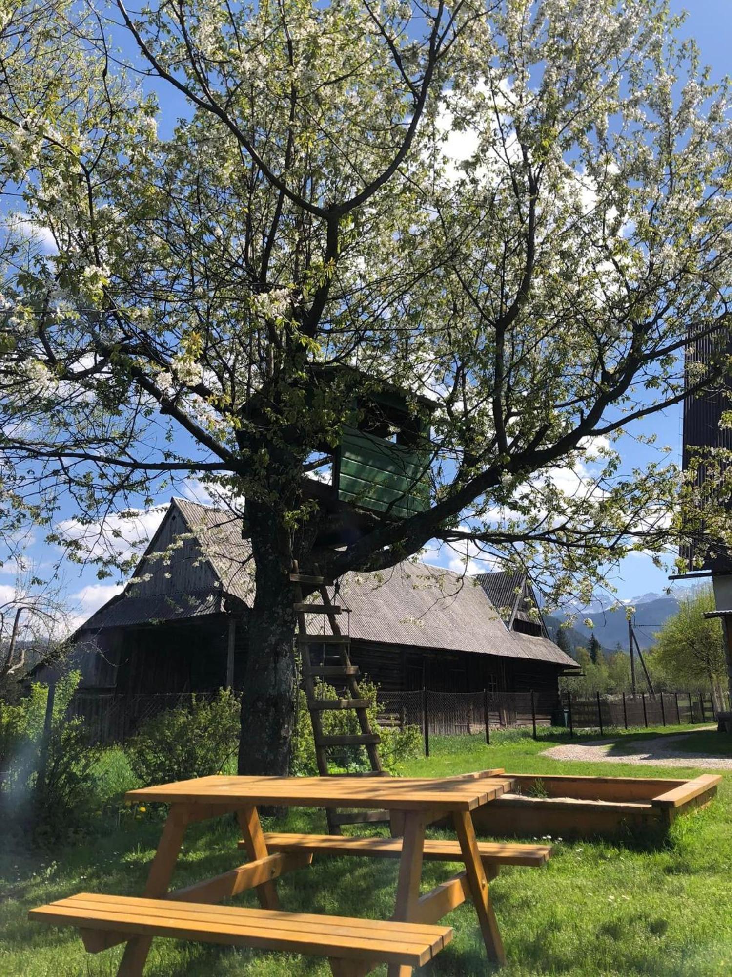 Pensjonat U Doroty, Zakopane - Twoje Miejsce W Gorach Eksteriør bilde
